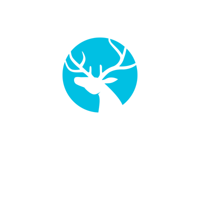扫描微信